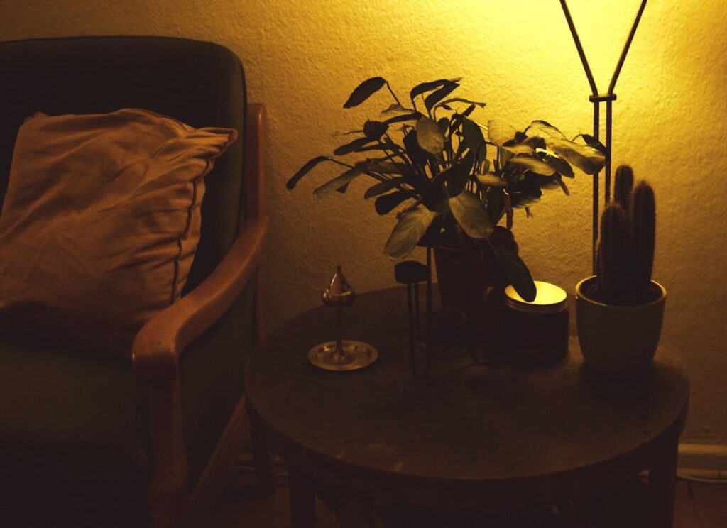 plants in a dark room